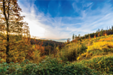 Les réserves naturelles de Moinet  et Bourcy