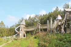 Parc chlorophylle